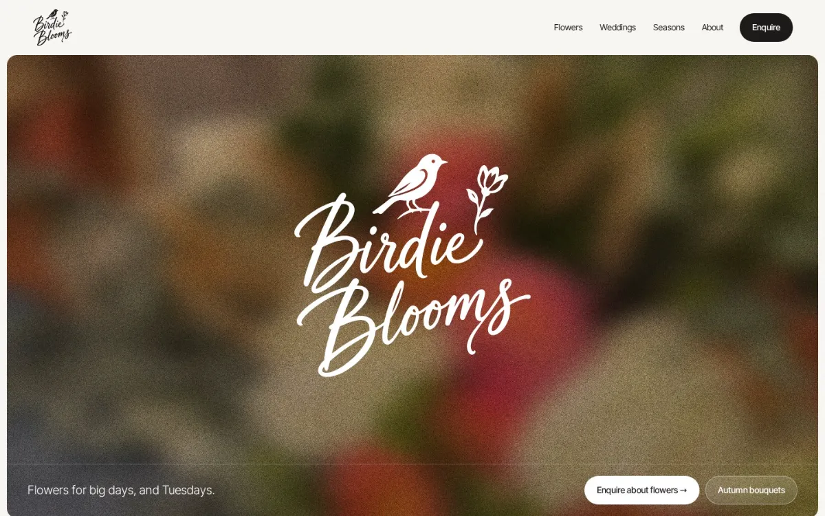 01 Brush Script & Songbird on the home page, desktop